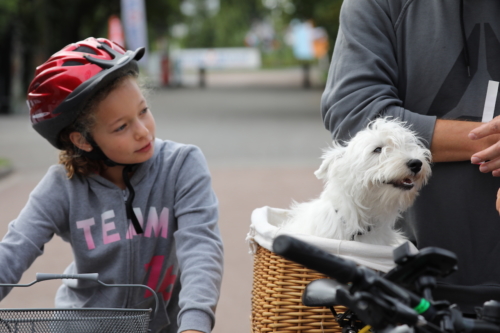 btwin chti bike tour rando famille nord 2018 photo laurent sanson-38