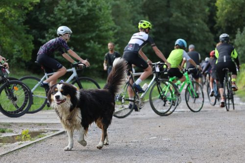 chti-bike-tour-2026-urban-rando-lille-30-08-2026-photo-laurent-sanson-24