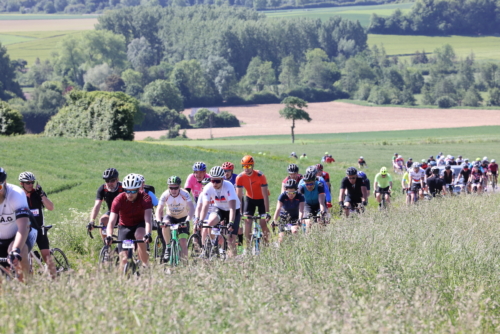 lille-hardelot-2022-randonnee-photo-laurent-sanson-392