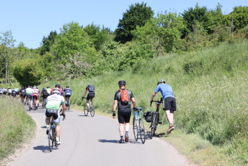 lille-hardelot-2022-randonnee-photo-laurent-sanson-410