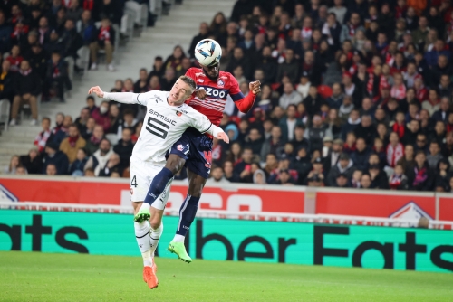 losc-vs-rennes-L1-J14-06-11-2022-photo-laurent-sanson-31