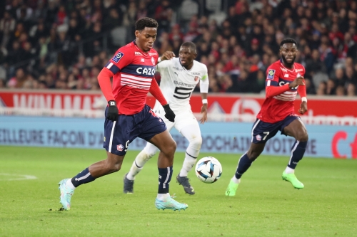 losc-vs-rennes-L1-J14-06-11-2022-photo-laurent-sanson-34