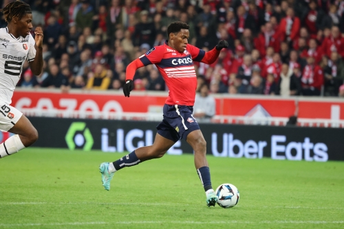 losc-vs-rennes-L1-J14-06-11-2022-photo-laurent-sanson-35