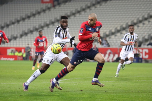 losc vs angers L1 J18 2020-2021 photo laurent sanson-121