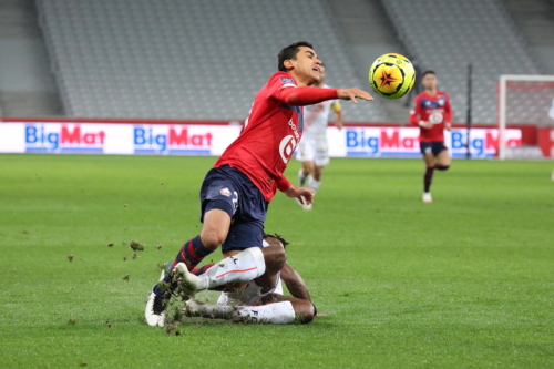 losc vs lorient L1 J11 2020-2021 photo laurent sanson-16