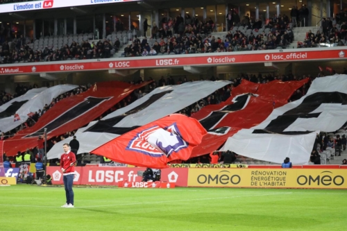 losc vs lyon L1 j15 2018-2019 photo laurent sanson-26