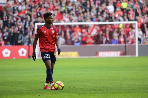 losc vs montpellier L1 J25 2018-2019 photo laurent sanson-02