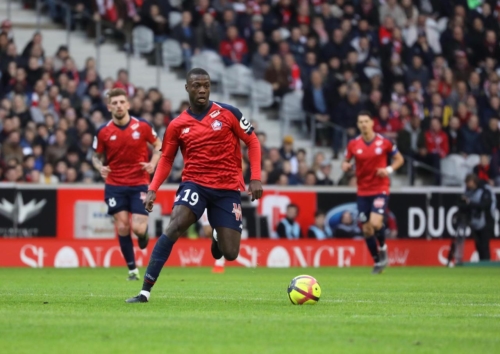 losc vs montpellier L1 J25 2018-2019 photo laurent sanson-30