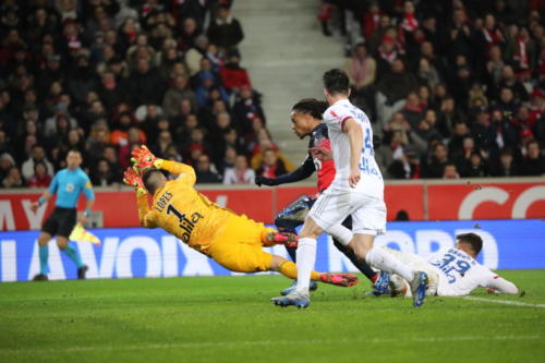 losc vs olympique lyonnais L1 J28 2019-2020 photo laurent sanson-18