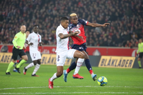 losc vs psg L1 J21 2019-2020 photo laurent sanson-12