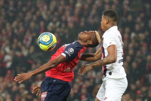 losc vs psg L1 J21 2019-2020 photo laurent sanson-29