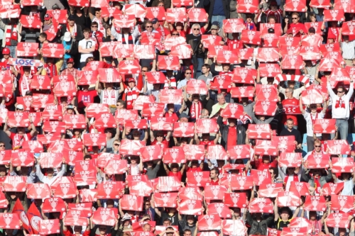 losc vs sochaux ligue 1 18-05-2011 photo laurent sanson-05