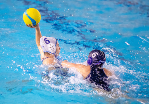 luc water-polo 2019-2020 photo morelle-03