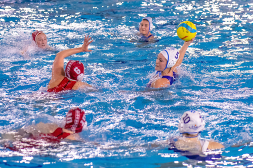 luc water-polo 2019-2020 photo morelle-05