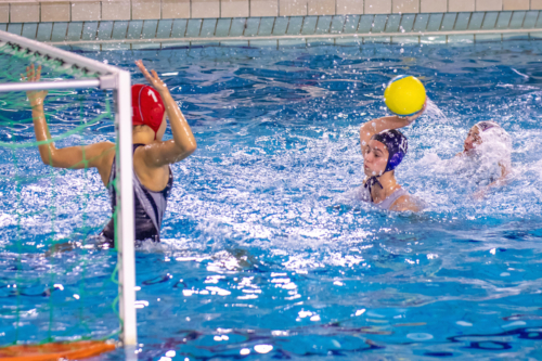 luc water-polo 2019-2020 photo morelle-06