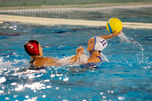 luc water-polo 2019-2020 photo morelle-09