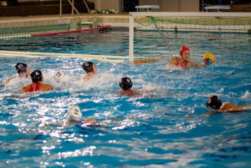 luc water-polo 2019-2020 photo morelle-15