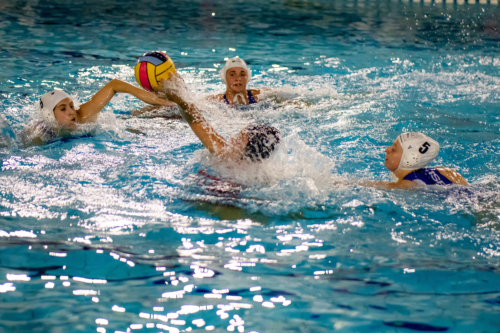 luc water-polo 2019-2020 photo morelle-16