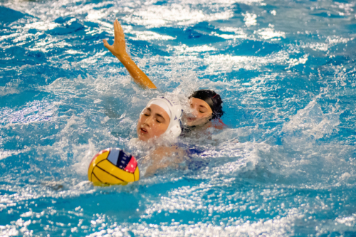 luc water-polo 2019-2020 photo morelle-17