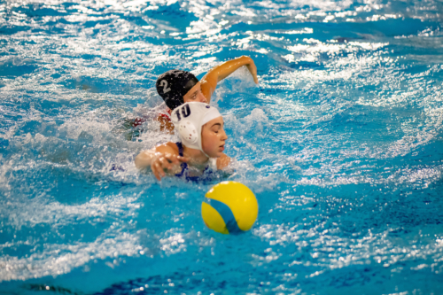 luc water-polo 2019-2020 photo morelle-19