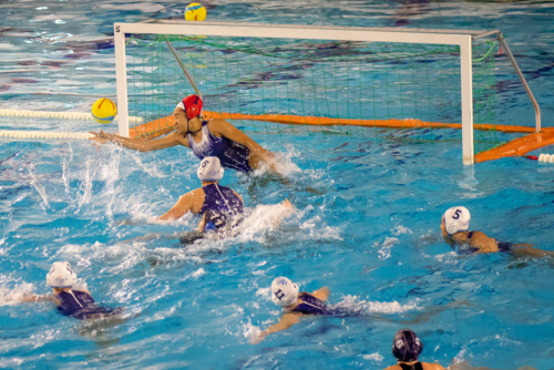 luc water-polo 2019-2020 photo morelle-37