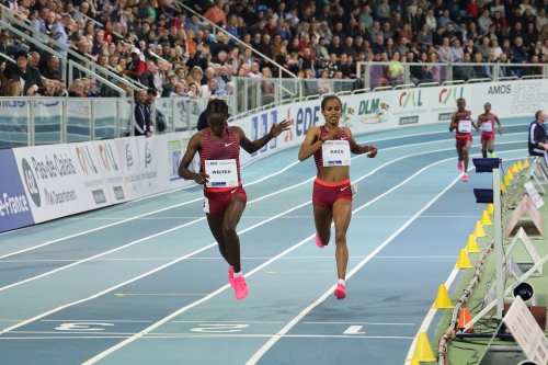 meeting-athletisme-lievin-2023-photo-laurent-sanson-05