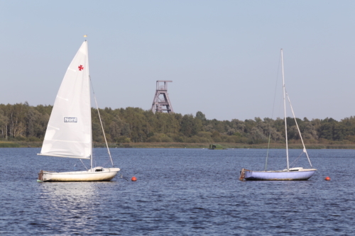 natur'sport 2019 conde-sur-l-escaut photo laurent sanson-73